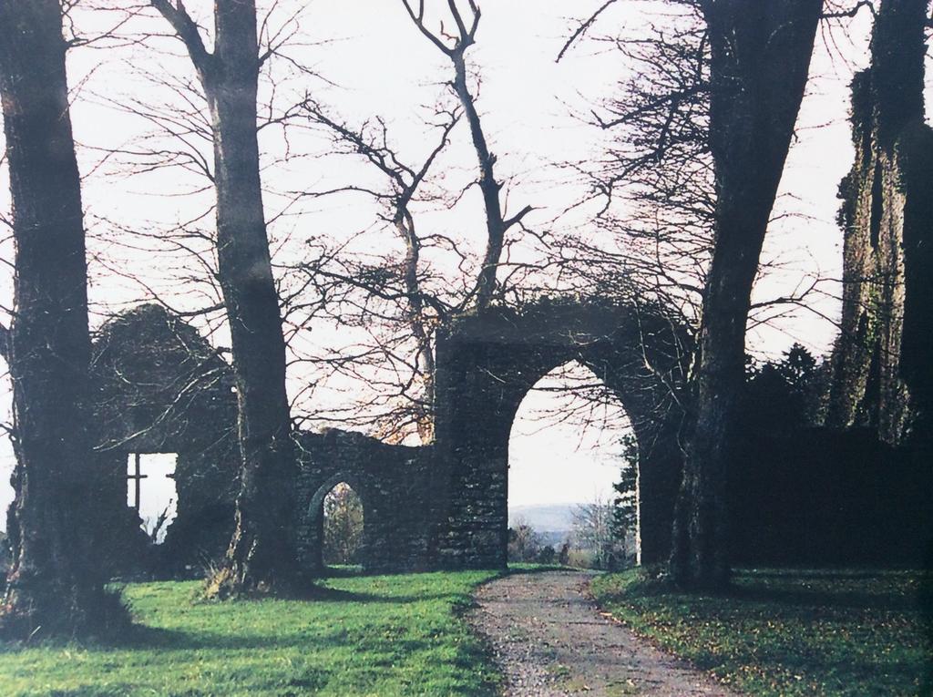 Oakdale, Templemore, E41F856 Buitenkant foto
